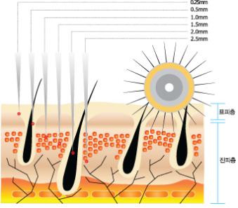 Dr. Roller Derma Rolling System